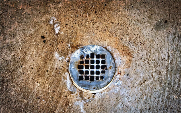 https://blockeddrainstuarthill.com.au/uploads/2025/07/blocked-shower-drains-20432.jpg