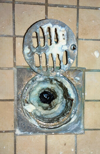 https://blockeddrainstuarthill.com.au/uploads/2025/07/blocked-shower-drains-86331.jpg