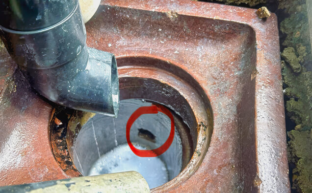 https://blockeddrainstuarthill.com.au/uploads/2025/07/hero-blocked-sewers-17074.jpg